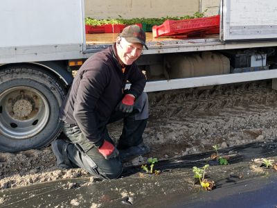 Hra Leivo työn ääressä